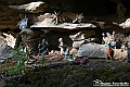 VBS_9988 - Pietra e Cappella di S. Anna - Cisterna d'Asti